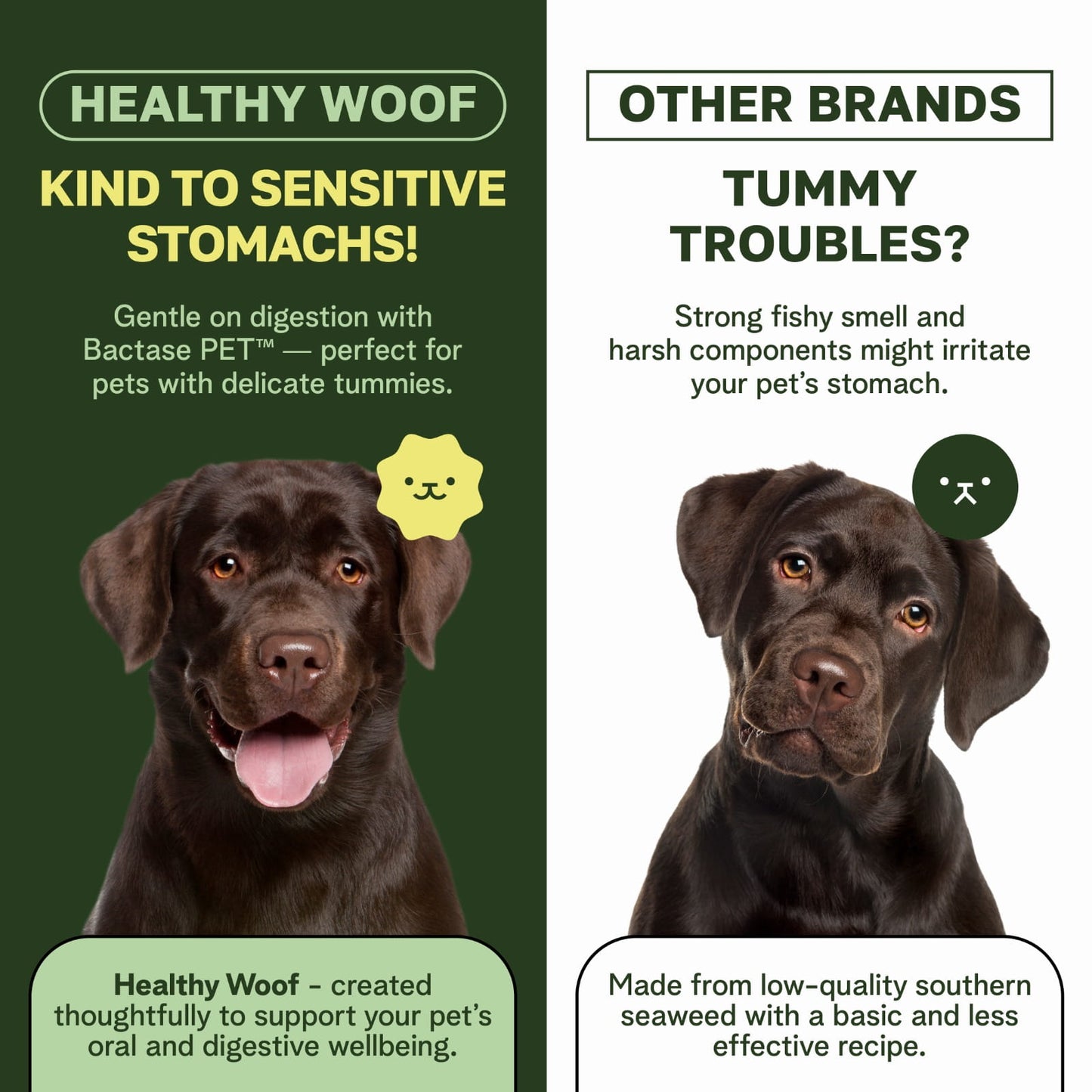 Comparison of Healthy Woof and Other Brands pet products with a black dog on a green and white background.