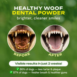 Advertisement for Healthy Woof dental powder showing before and after effects on a dog's teeth.