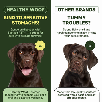 Comparison of Healthy Woof and Other Brands pet products with a black dog on a green and white background.