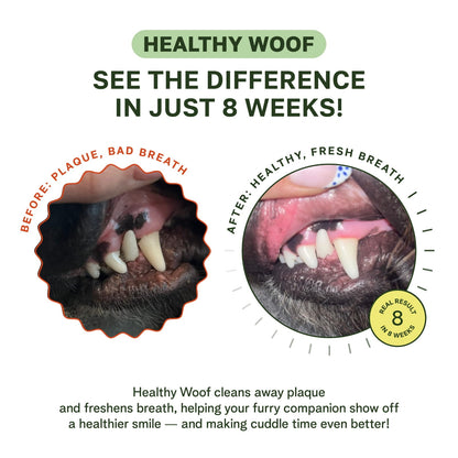 Advertisement for Healthy Woof dental product showing before and after effects on a dog's mouth.