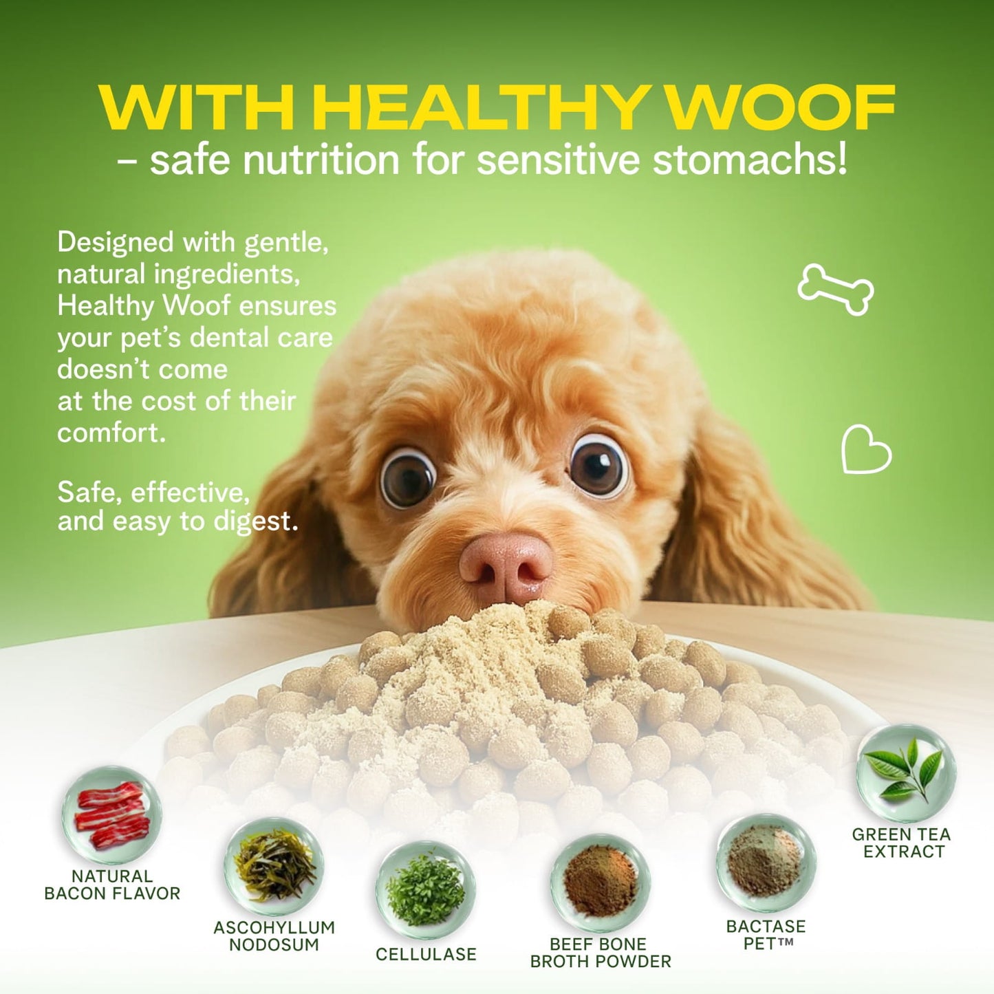 Dog eating from a bowl of food with 'Healthy Woof' branding and text about safe nutrition for sensitive stomachs.