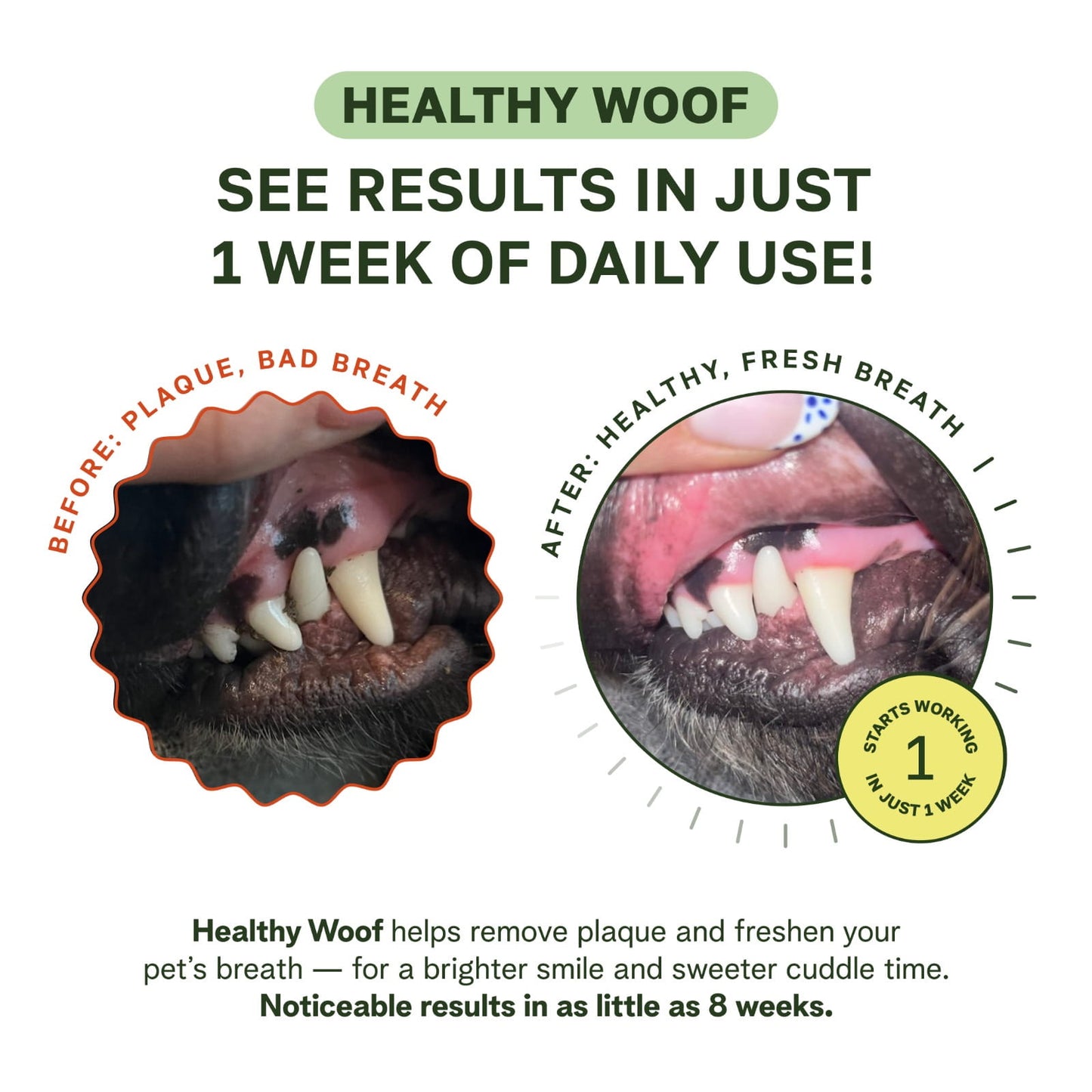 Advertisement for Healthy Woof dental product showing before and after effects on a dog's mouth.