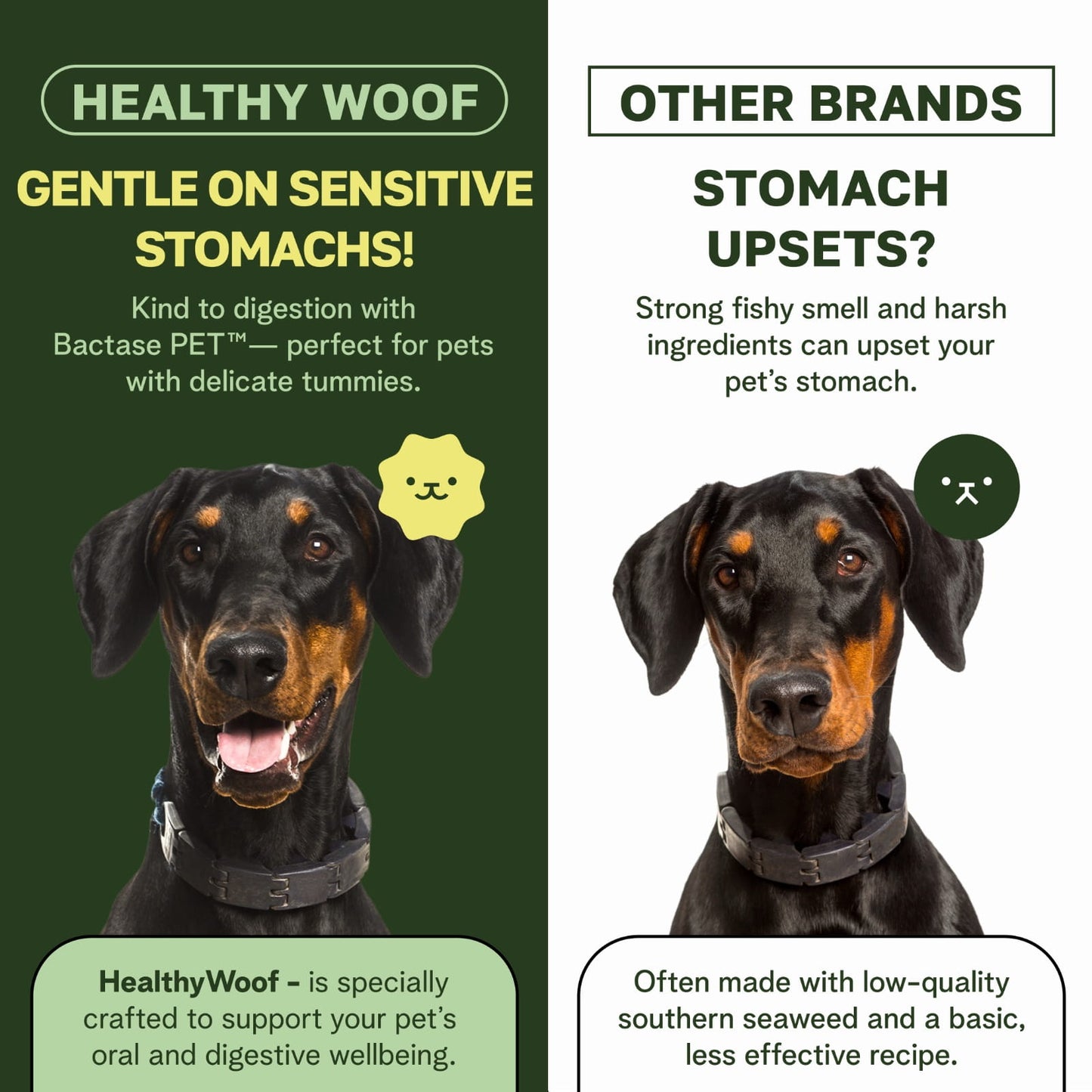 Comparison of Healthy Woof pet product with other brands on a green and white background.