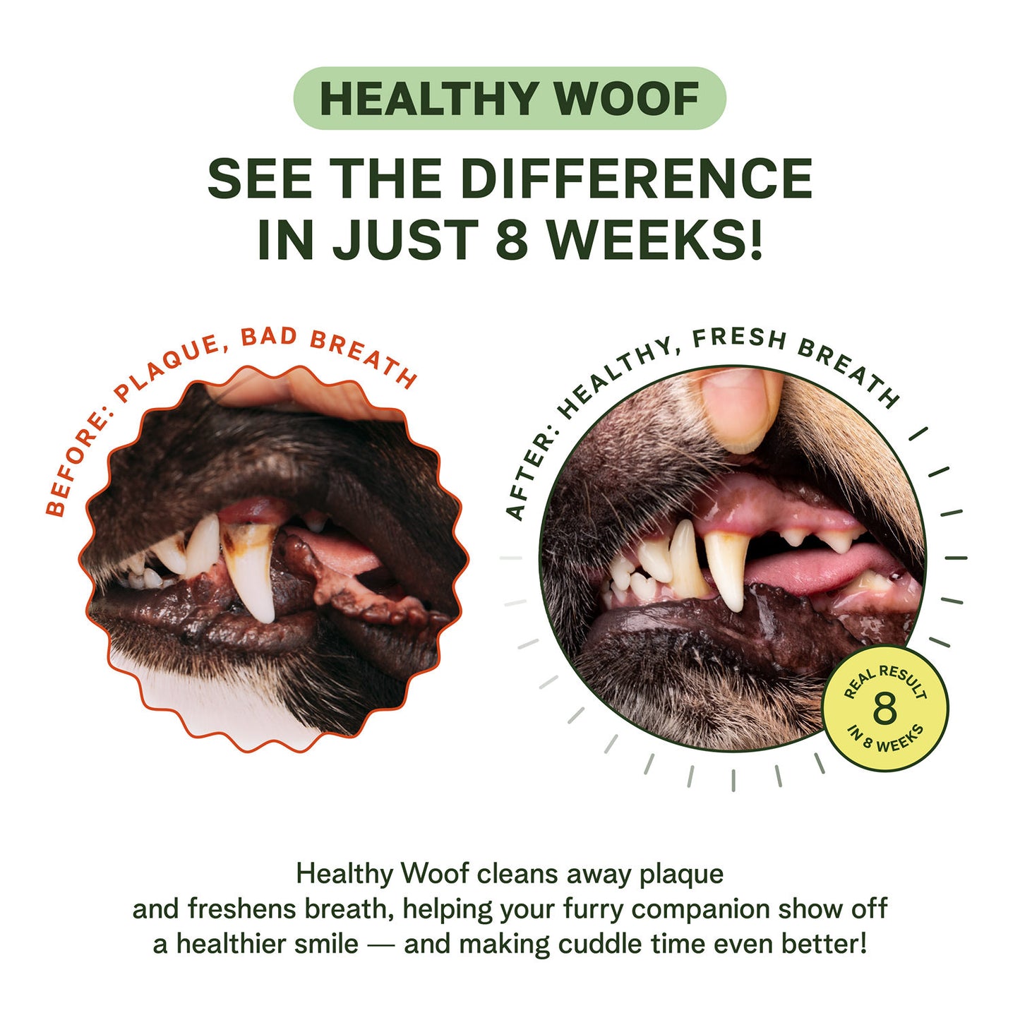 Dog Dental Cleaning Powder for Large Dogs