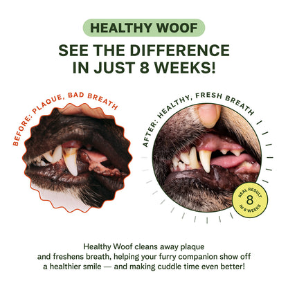 Dog Dental Cleaning Powder for Large Dogs