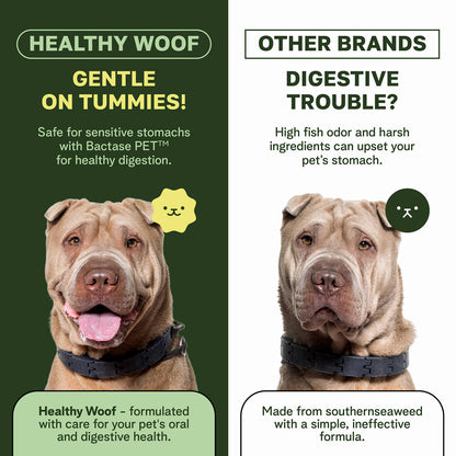 Dog Dental Cleaning Powder for Medium Dogs